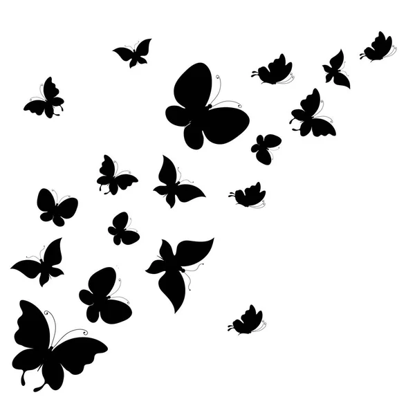 Ταχυδρομική Κάρτα Συλλογή Από Μαύρο Φέρουν Πεταλούδες Που Απομονώνονται Λευκό — Διανυσματικό Αρχείο