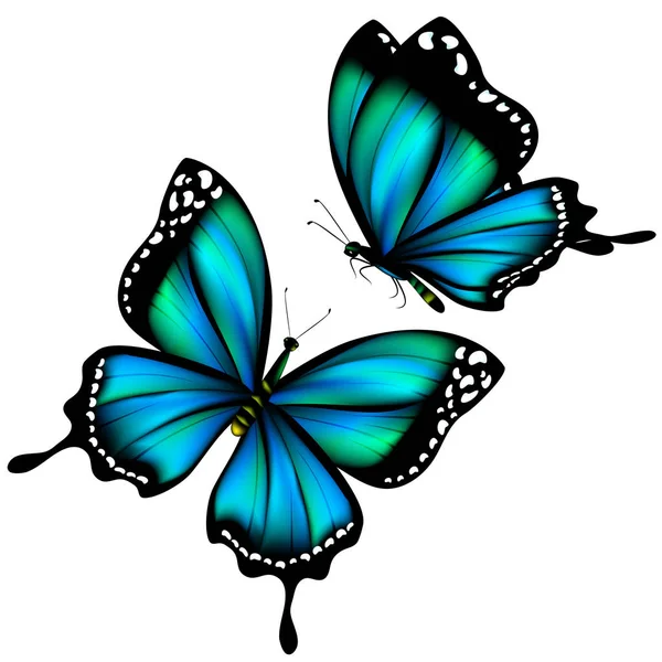 Set Bright Blue Beautiful Butterflies Isolated White Background Vector Illustration — Stock Vector