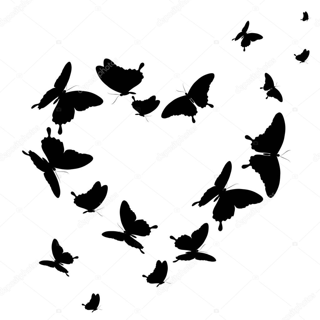 greeting valentine card with black butterflies in shape of heart, vector, illustration 
