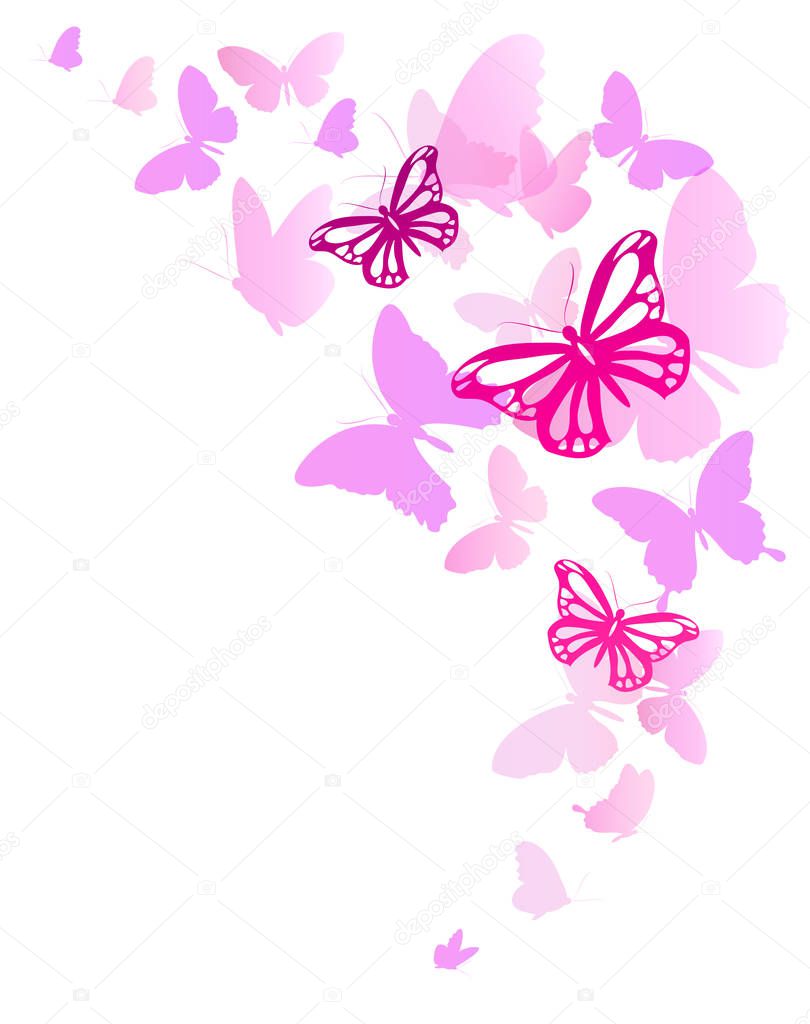 wedding invitation card with set of pink flying butterflies isolated on white background, vector, illustration