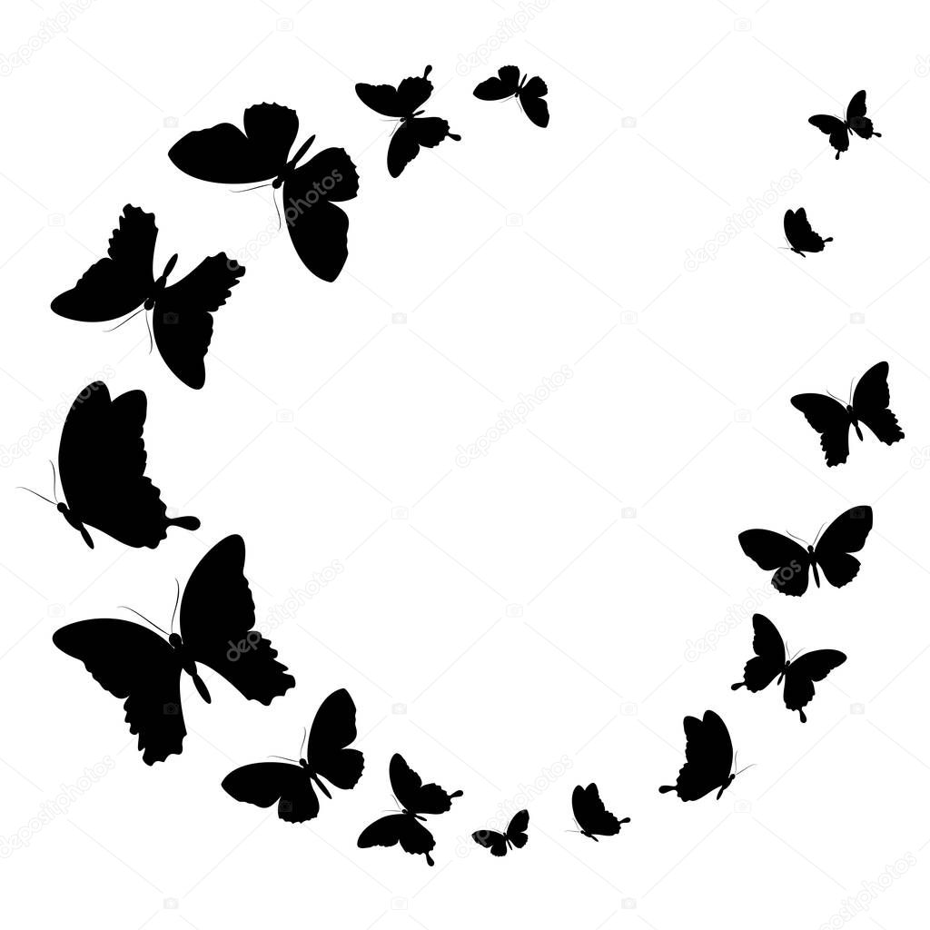 flying black butterflies in form of circle isolated on white background, vector, illustration
