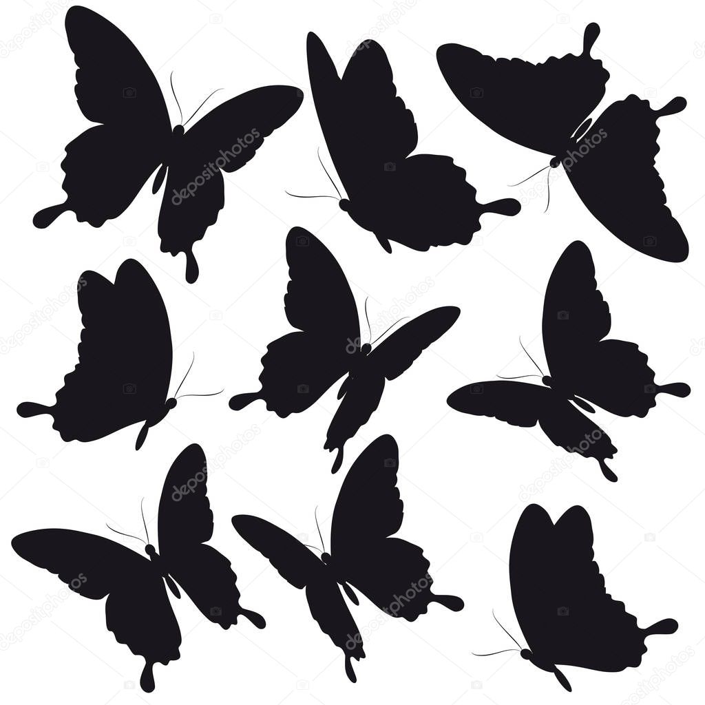 postal card with collection of black flying butterflies isolated on white background, vector, illustration