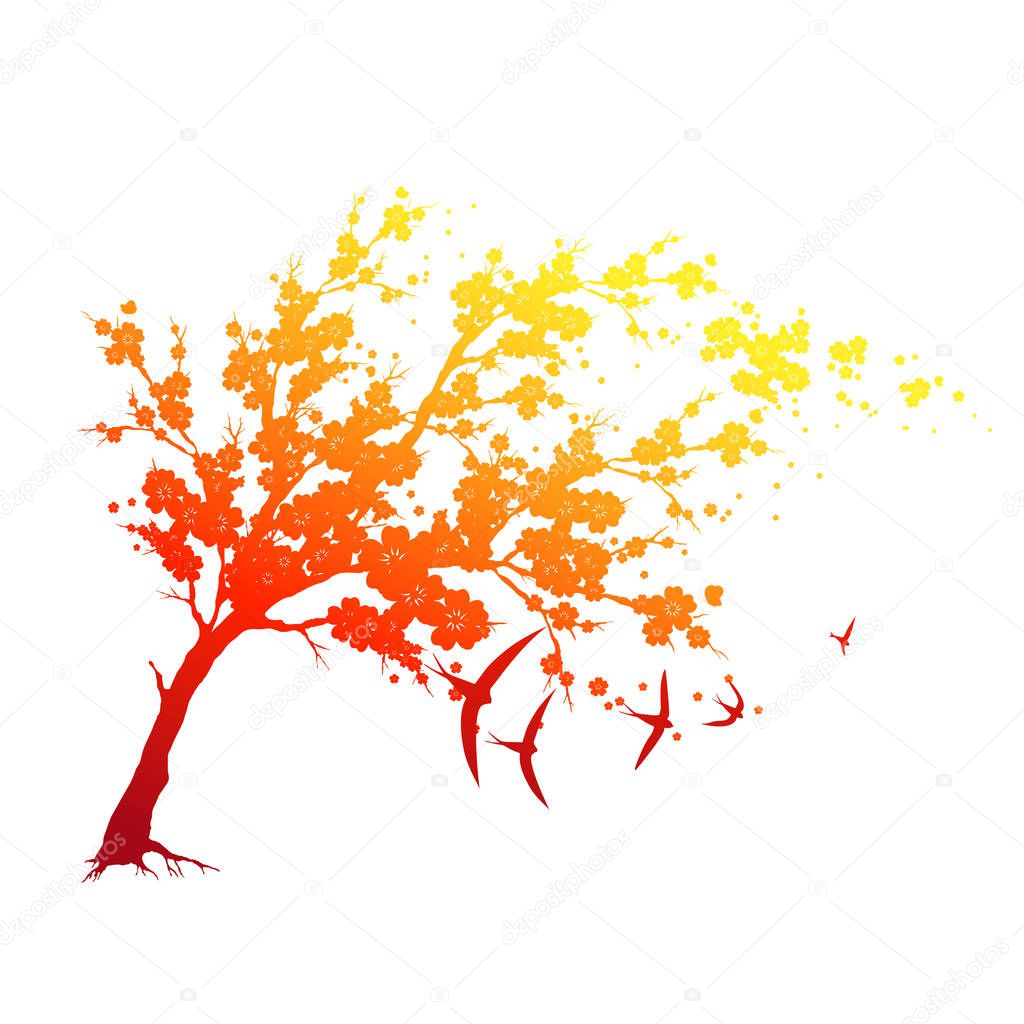 beautiful orange blossom tree with flying birds, vector, illustration, spring concept 