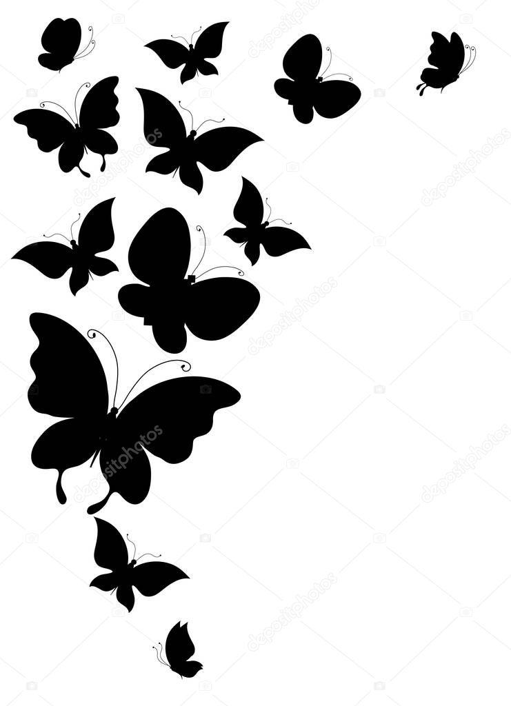 postal card with collection of black flying butterflies isolated on white background, vector, illustration