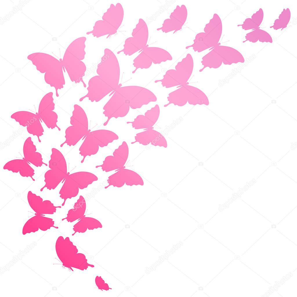 postal card with set of pink flying butterflies isolated on white background, vector, illustration