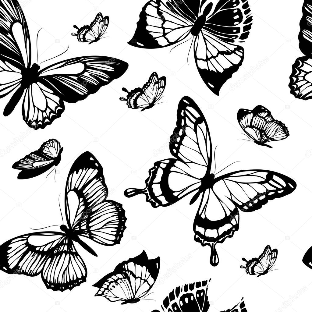 sketch of summer black butterflies isolated on white background, vector, illustration