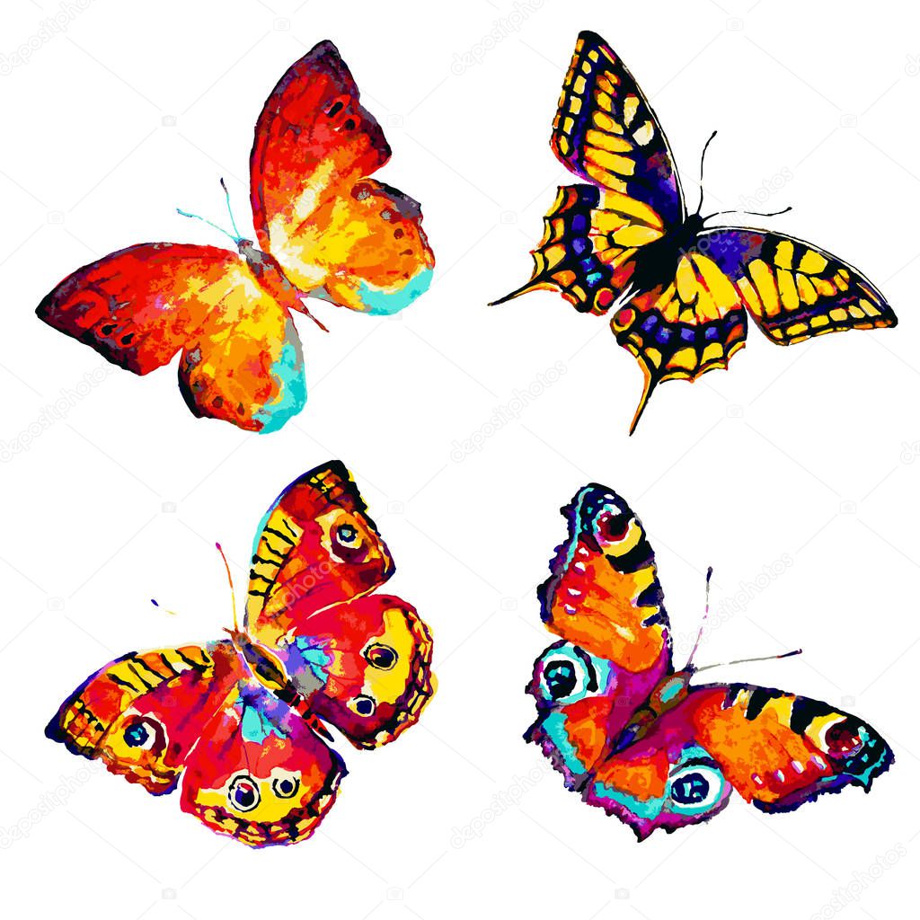 set of bright beautiful butterflies isolated on white background, vector, illustration