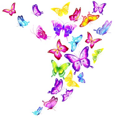 Beyaz arka plan, vektör, illüstrasyon izole parlak uçan kelebekler koleksiyonu ile posta kartı