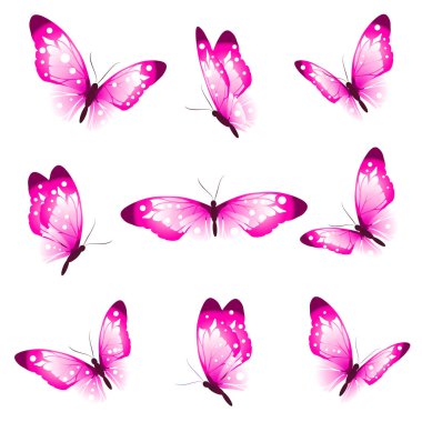 Beyaz arka plan, vektör, illüstrasyon izole elle çizilmiş pembe kelebek koleksiyonu