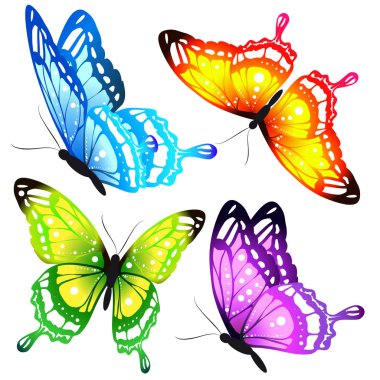 Beyaz arka plan, vektör, illüstrasyon izole güzel renkli kelebekler davetiye el ile çizilmiş