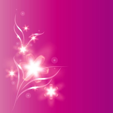 güzel beyaz çiçekler pembe bir arka plan, vektör, illüstrasyon parlayan kartıyla yaz