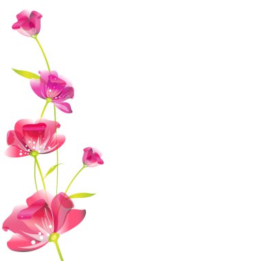 Beyaz arka plan, vektör, illüstrasyon izole güzel lale çiçek ile romantik kartı