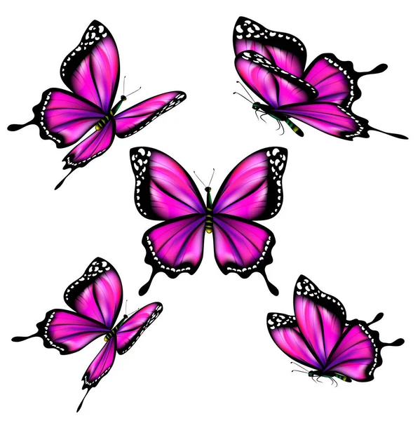 Tarjeta Invitación Con Hermosas Mariposas Violetas Dibujadas Mano Aisladas Sobre — Vector de stock