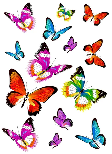 Συλλογή Πολύχρωμες Πεταλούδες Που Απομονώνονται Λευκό Φόντο Διάνυσμα Εικονογράφηση — Διανυσματικό Αρχείο