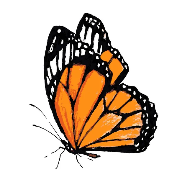 Borboleta Laranja Isolada Sobre Fundo Branco Vetor Ilustração — Vetor de Stock