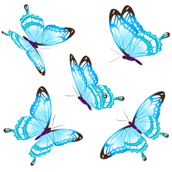 Набір Красивих Метеликів Блакитного Кольору Ізольовані Білому Тлі Вектор Ілюстрація — стоковий вектор