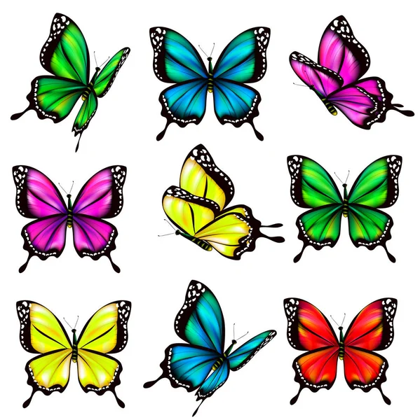 Collection Papillons Colorés Isolés Sur Fond Blanc Vecteur Illustration — Image vectorielle