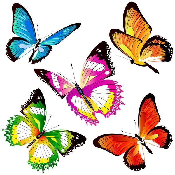 Einladungskarte Mit Handgezeichneten Schönen Bunten Schmetterlingen Isoliert Auf Weißem Hintergrund — Stockvektor