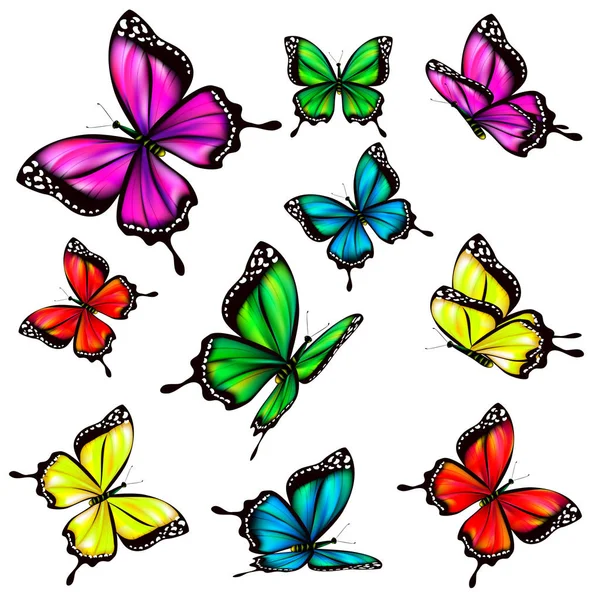 Sammlung Von Bunten Schmetterlingen Isoliert Auf Weißem Hintergrund Vektor Illustration — Stockvektor