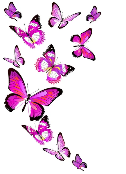 美丽的粉红色蝴蝶孤立在白色背景 — 图库矢量图片