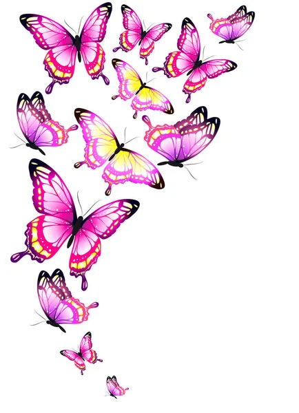 Piękne Różowe Motyle Białym Tle Białym Tle Wektor Ilustracja — Wektor stockowy