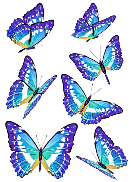 Satz Leuchtend Blauer Schöner Schmetterlinge Isoliert Auf Weißem Hintergrund Vektor — Stockvektor