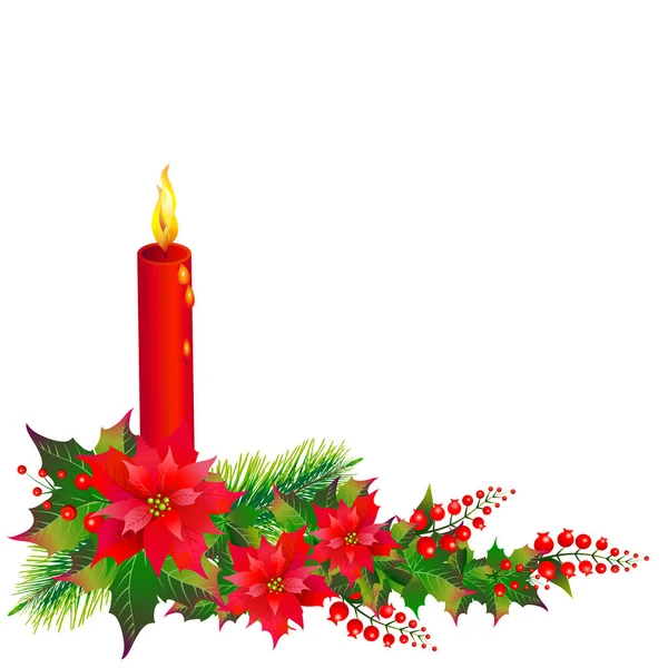Guirlande Noël Avec Fleurs Poinsettia Vecteur Illustration — Image vectorielle