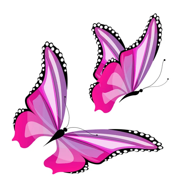 Hermosas Mariposas Rosadas Aisladas Sobre Fondo Blanco Vector Ilustración — Archivo Imágenes Vectoriales