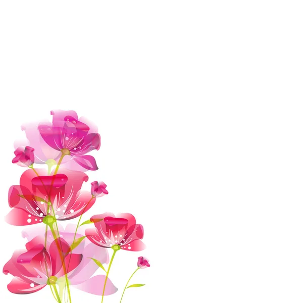 Romantische Kaart Met Mooie Tulp Bloemen Geïsoleerd Een Witte Achtergrond — Stockvector