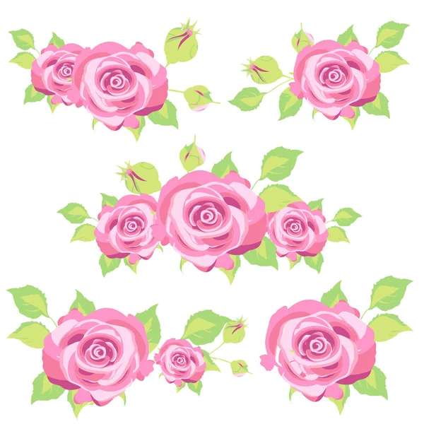 Hermosas Flores Rosas Aisladas Sobre Fondo Blanco Vector Ilustración — Archivo Imágenes Vectoriales