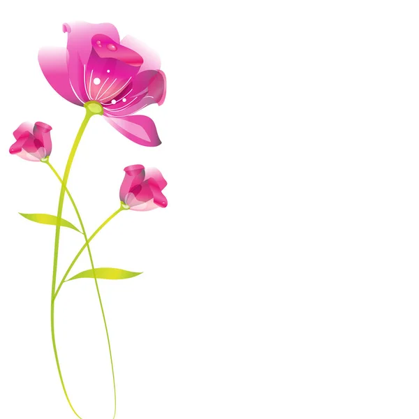 Romantyczne Karty Tulip Piękne Kwiaty Białym Tle Białym Tle Wektor — Wektor stockowy