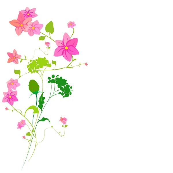 Bukiet Piękne Kolorowe Kwiaty Wektor Ilustracja — Wektor stockowy