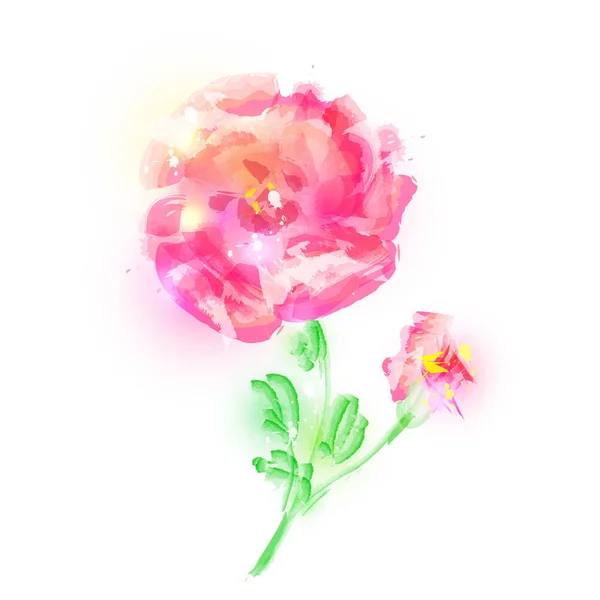 Akvarell Vacker Rosa Blomma Isolerad Vit Bakgrund Vektor Illustration — Stock vektor