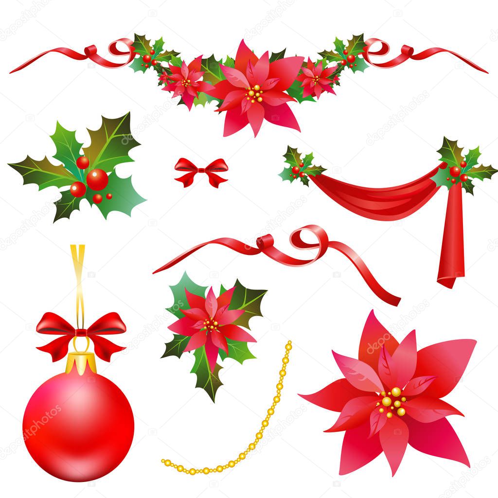 Christmas decoration with poinsettia flowers isolated on white background, vector, illustration