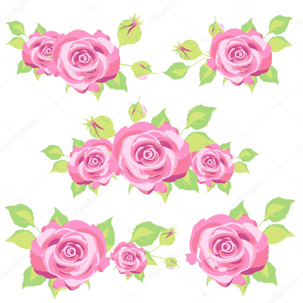 beautiful rose flowers isolated on white background, vector, illustration