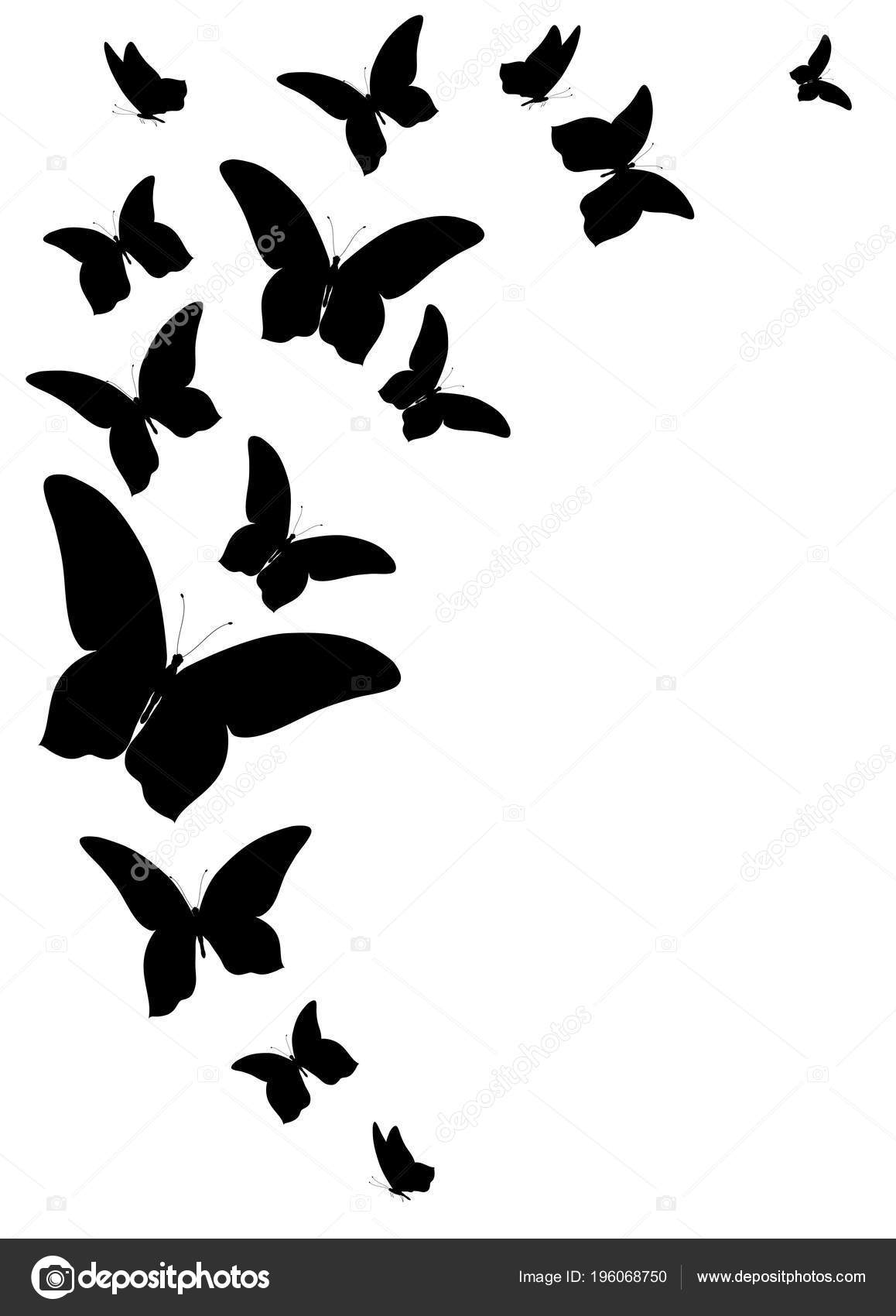 黑色蝴蝶在白色背景下分离的矢量图解图库矢量图©aboard 196068750