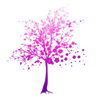 güzel pembe çiçek ağaç, vektör, illüstrasyon, bahar kavramı 