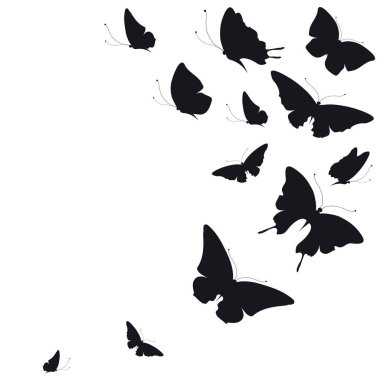 siyah beyaz arka plan, vektör, illüstrasyon izole kelebekler uçan koleksiyonu ile posta kartı