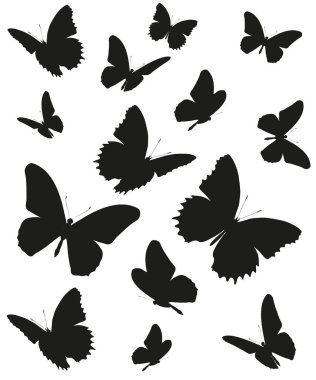 siyah beyaz arka plan, vektör, illüstrasyon izole kelebekler uçan koleksiyonu ile posta kartı