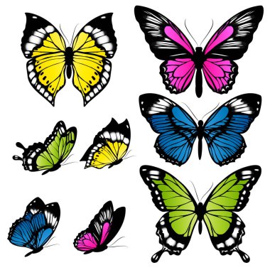 el kümesi çizilmiş güzel renkli kelebekler, vektör, illüstrasyon