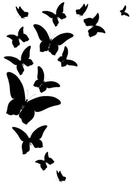 Vektör illüstrasyon izole beyaz arka plan üzerinde siyah kelebek