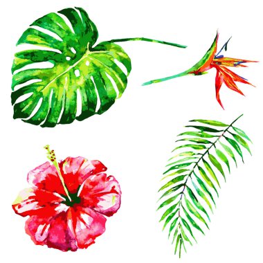 tropikal palmiye ağacı ile egzotik hawaiian çiçek yaprakları, yaz saati kavramı, vektör, illüstrasyon