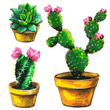 Beyaz arka plan, vektör, illüstrasyon izole saksı kaktüs kümesi
