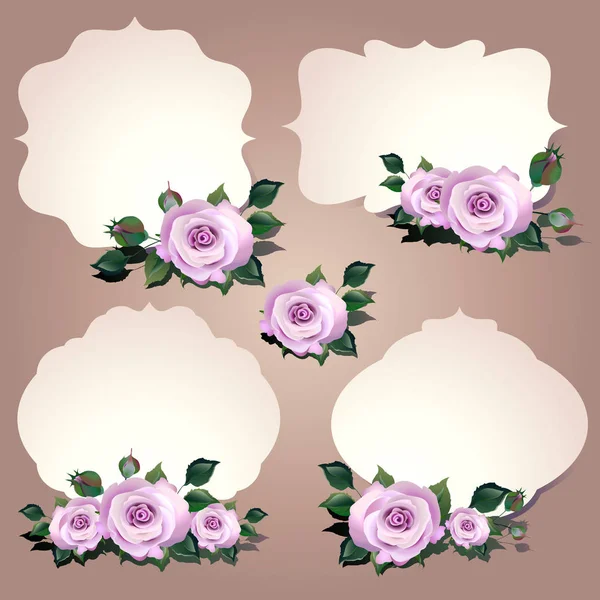 Belas Flores Rosas Com Molduras Brancas Fundo Claro Vetor Ilustração — Vetor de Stock