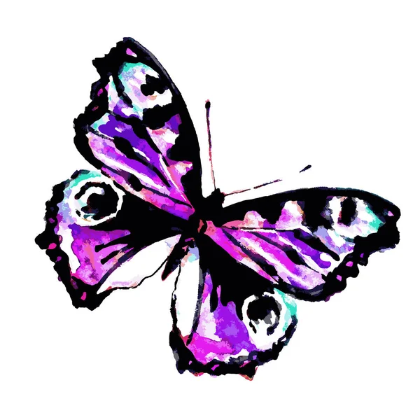 Beautiful Purple Butterfly Isolated White Background Vector Illustration — Stock Vector