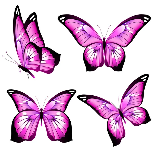 Gyönyörű Rózsaszín Pillangók Elszigetelt Fehér Háttér Vektor Ábra — Stock Vector