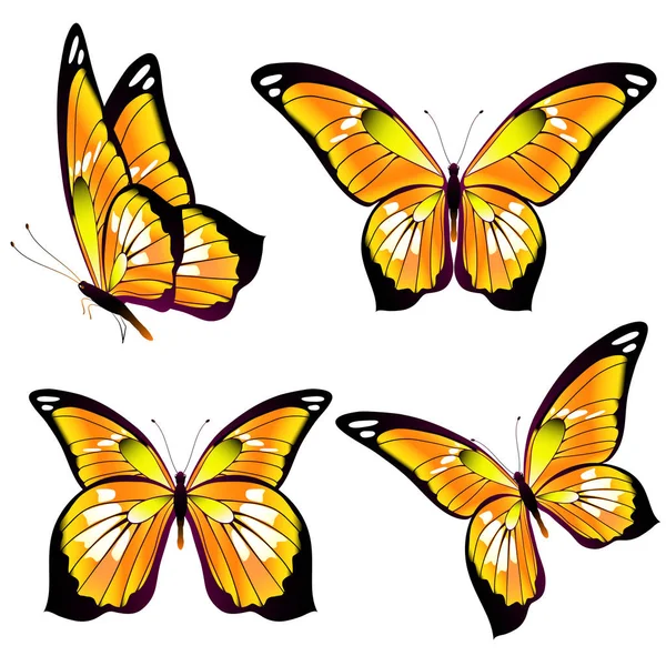 Collection Summer Orange Butterflies Isolated White Background Vector Illustration — Stock Vector