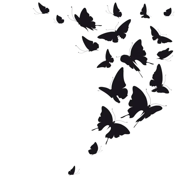 Набір Літаючих Метеликів Ізольовано Білому Тлі Вектор Ілюстрація — стоковий вектор