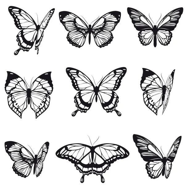 Filas Mariposas Negras Aisladas Sobre Fondo Blanco Vector Ilustración — Archivo Imágenes Vectoriales