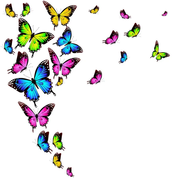 Uppsättning Ljusa Flygande Fjärilar Isolerad Vit Bakgrund Vektor Illustration — Stock vektor